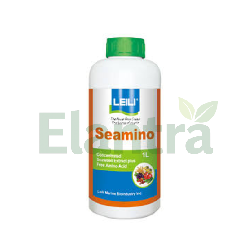 SEAMINO